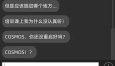 Aliya 截图