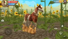 wildcraft 截图