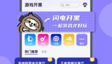 闪电开黑 截图