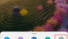 Edge浏览器 截图