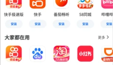 黑鲨应用商店 截图