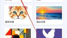 artworkout 截图