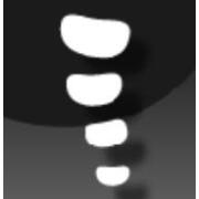 spine动画