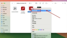 Adobe Acrobat Pro DC 2024 截图