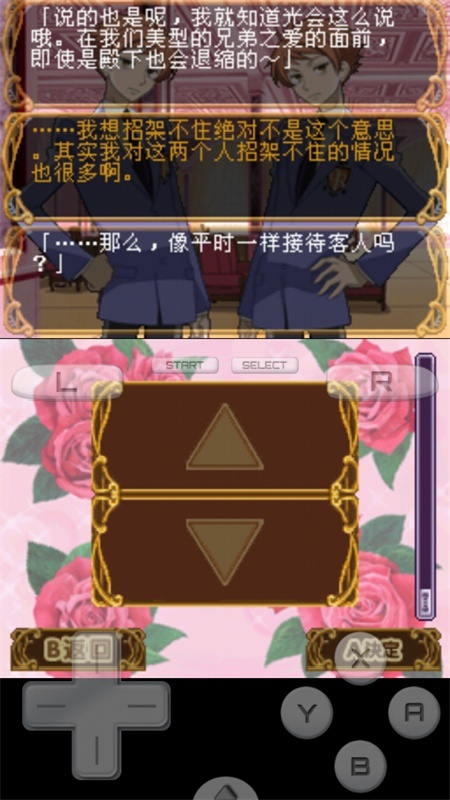 樱兰高校男公关部