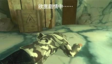 南极洲88号安卓版 截图
