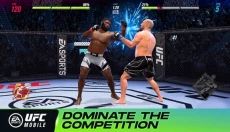 UFC终极格斗冠军2 截图