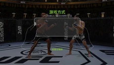 UFC终极格斗冠军2 截图