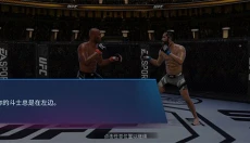UFC终极格斗冠军2 截图