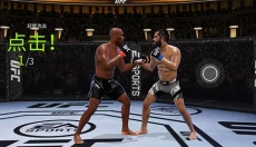 UFC终极格斗冠军2 截图