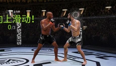 UFC终极格斗冠军2 截图