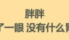 青蛙旅行家 截图