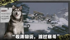 我在末日捡垃圾 截图