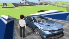 3D驾驶课2 截图