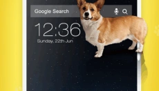 iDog狗在屏幕上 截图