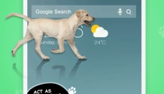 iDog狗在屏幕上 截图