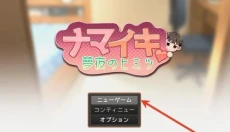 NAMAIKI模拟器安卓版 截图