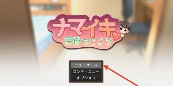 NAMAIKI模拟器安卓版