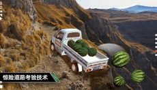 卡车模拟驾驶手游 截图
