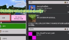 我的世界珍妮模组Java版 截图