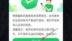 艾人的冒险 截图
