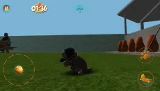 真实小猫3D模拟 截图