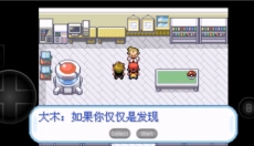 口袋妖怪叶绿版 截图