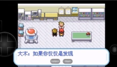 口袋妖怪叶绿版 截图