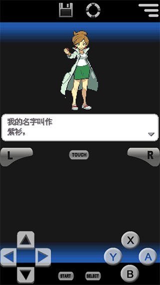 口袋妖怪黑白2正版