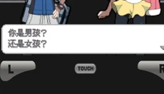 口袋妖怪黑白2正版 截图