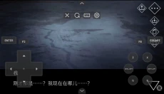 文字化化汉化版 截图