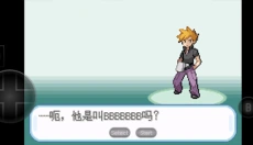 口袋妖怪叶绿原版 截图