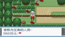 绿宝石386 截图
