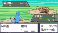 绿宝石386 截图