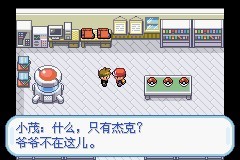 口袋妖怪火红中文版