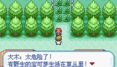口袋妖怪火红中文版 截图