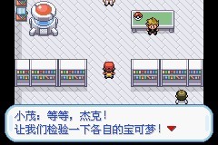 口袋妖怪火红中文版