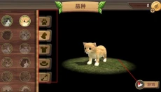 猫咪生存模拟器最新版 截图
