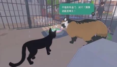 小猫咪大城市免实名版 截图