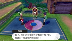宝可梦剑盾 截图