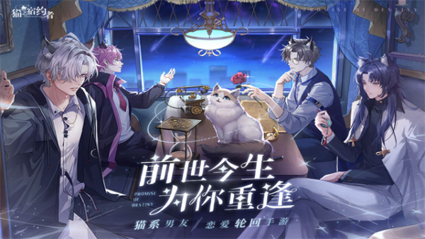 猫之宿约者app
