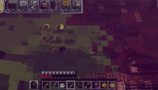 PVZMC植物大战泰拉世界 截图