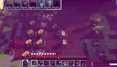 PVZMC植物大战泰拉世界 截图