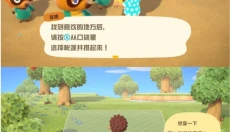 动物森友会安卓版 截图