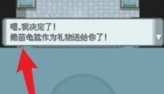 口袋妖怪钻石珍珠 截图