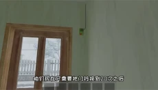 逃离家暴正版 截图