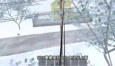 逃离家暴正版 截图
