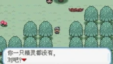 口袋妖怪火箭队 截图