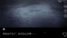 文字化化中文版 截图