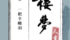 红楼梦人生 截图